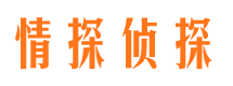 红古市私人调查